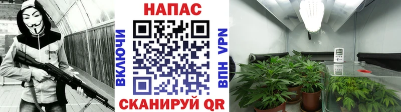 Продажа наркотиков Бугуруслан Канабис  СК  Меф 
