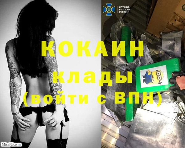 spice Бородино