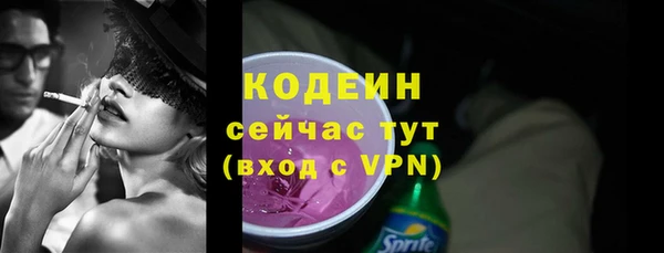 spice Бородино