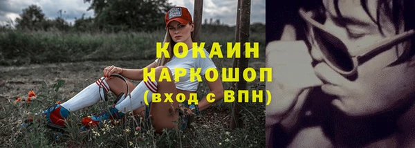 spice Бородино