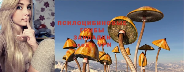 spice Бородино