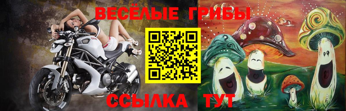 где продают наркотики  Вход с VPN  Бугуруслан  Галлюциногенные грибы Cubensis 